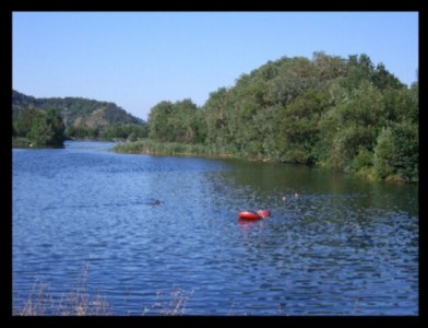 Hirschauer Baggersee - Infos und Bewertungen von Das Örtliche