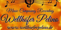 Nutzerfoto 1 Wellhöfer Pelino Musik